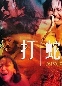 UchijaLostSouls1980BD1080PX264AAC国语双语汉字