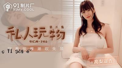 【91版】91CM-246私人玩具第3卷-高梨遥